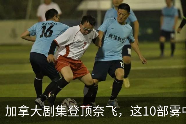 加拿大剧集登顶奈飞，这10部雾中惊悚剧接档